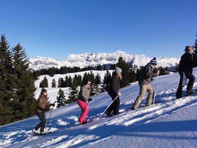 vorschaubild galerie